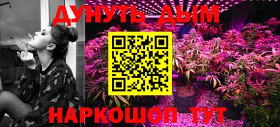 индика Нальчик