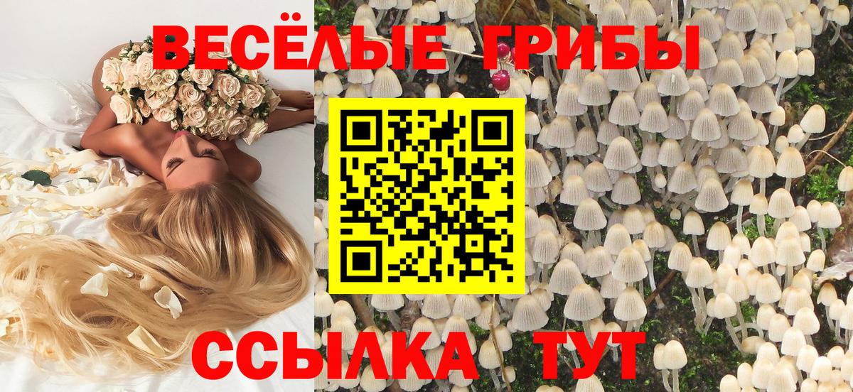 Галлюциногенные грибы Magic Shrooms  Псилоцибиновые грибы GOLDEN TEACHER  Вход с VPN  Сергиев Посад 