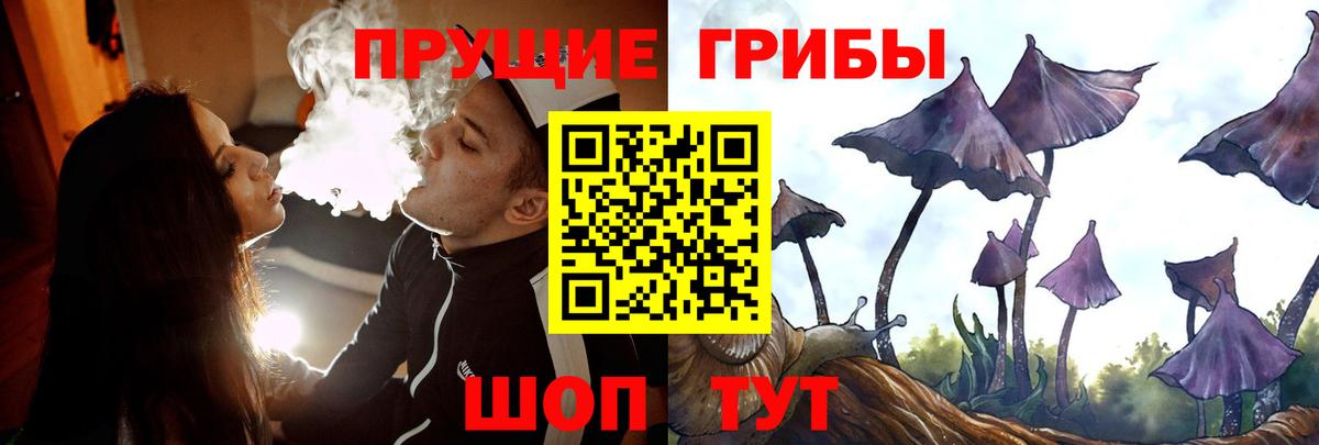 Псилоцибиновые грибы Psilocybe Сергиев Посад